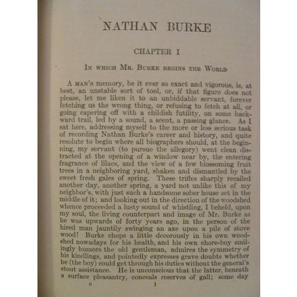NATHAN BURKE by MARY S WATTS ANTIQUARIAN ORIGINAL 1910