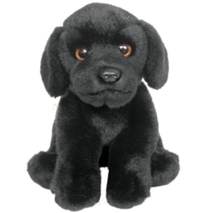 Black Labrador 12" toy dog, as it is or personalised, gift wrapped, 3 options