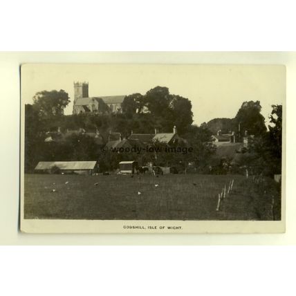 h0211 - Godshill Church & Village , Isle of Wight - postcard