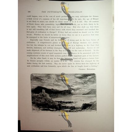 Bay Of Salamis, Greece, Book Illustration (Print), 1890
