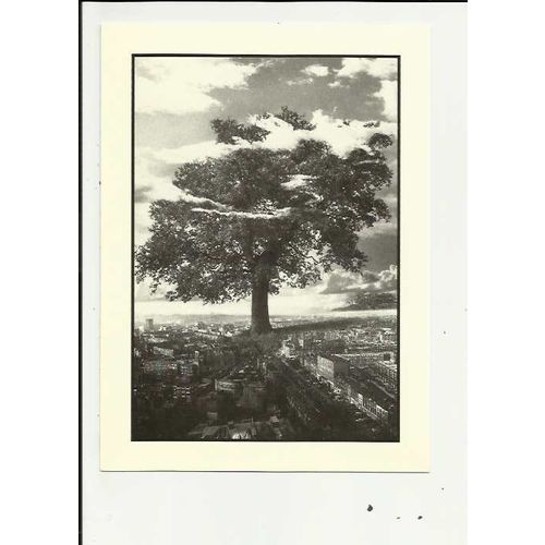 URBAN GROWTH (Hag) Athena Postcard (650092)