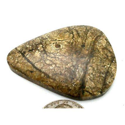 Picture Jasper Freeform Gemstone Cabochon 465