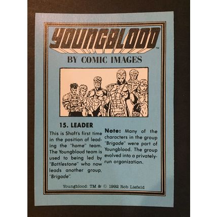 Youngblood trading card #15, excellent condition!