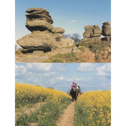 Brimham Rocks Horse & Riders Knaresborough 2x Postcard s