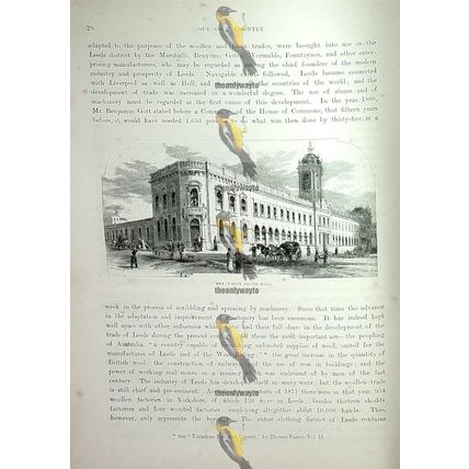 White Cloth Hall, Leeds, Yorkshire, Book Illustration (Print), 1882