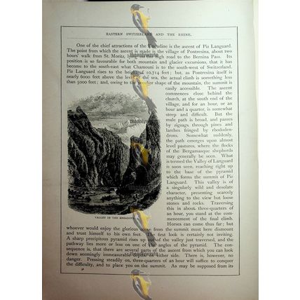 Valley In The Engadine, Switzerland, Book Illustration (Print), c1890