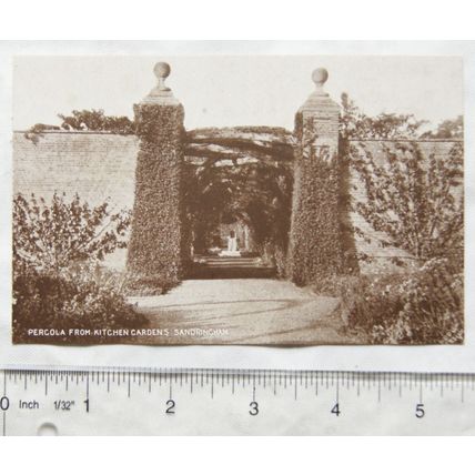 vintage postcard Pergola from Kitchen Gardens Sandringham