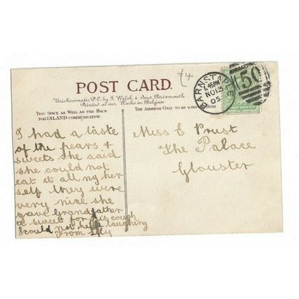 On The Tawe, near Barnstaple, Devon, Postcard.