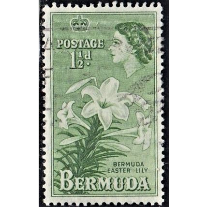 Bermuda, 1953-58 Easter Lilies, SG 137 (Scott #145), used