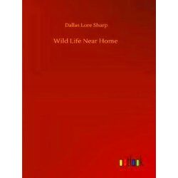 Wild Life Near Home