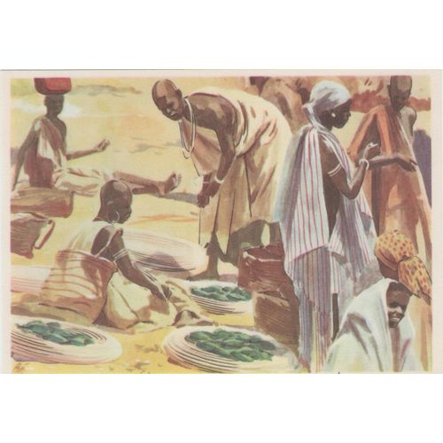 Non Sport 1950s?? Sanella-Bilder/Sammelwerk Afrika- Bild 36