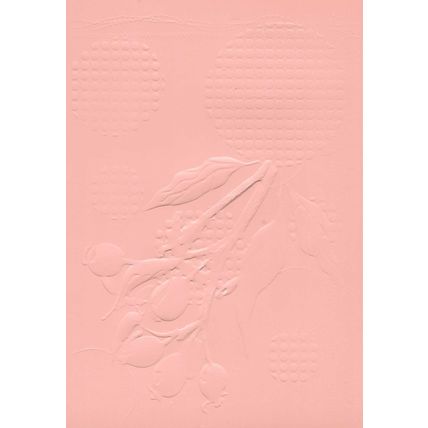 5"x7" Embossed Paper. 10 Sheets. Berries (18). Cardmaking Scrapbooking Crafts