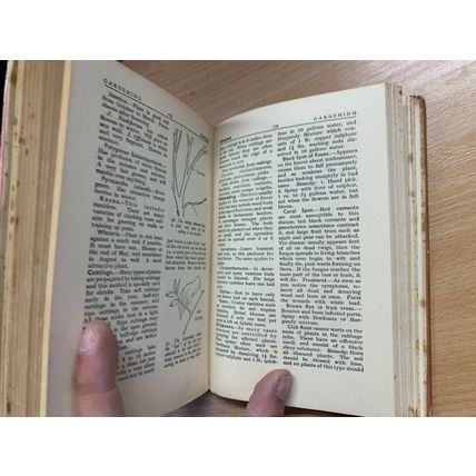1950 ELIZABETH CRAIG "1000 HOUSEHOLD HINTS" ILLUSTRATED HARDBACK BOOK (P3)