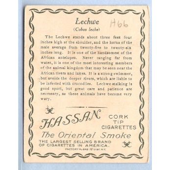 Tobacco Card ~ Company: American Tobacco Company Brand: Hassan Cork Tip Ci~66