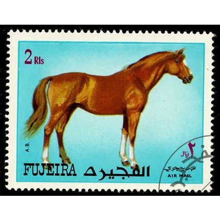 Fujeira 1972 Animal Horse Airmail 2R Used Stamp