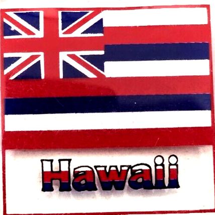 Hawaii British Flag Souvenir Clear Acrylic Keychain Charm Fob Purse Bag Luggage