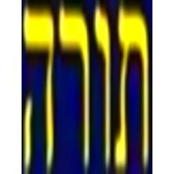 A Journal For The Hebrew Scriptures - Torah-The Law