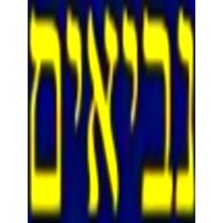 A Journal For The Hebrew Scriptures - Neviim-The Prophets