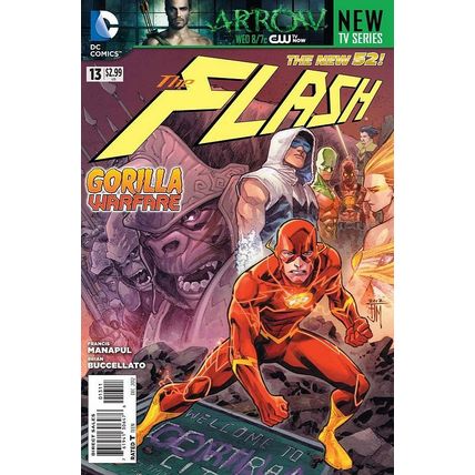 Flash (Vol 6) # 013 NM MODERN AGE COMICS