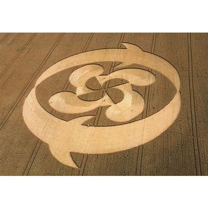 Wheat 210 Foot Golden Ball Hill Wiltshire Crop Circle Postcard