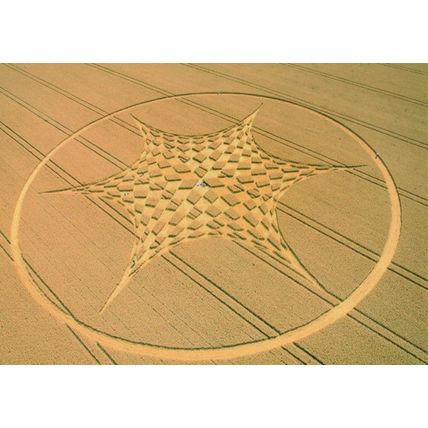 Wheat Crop Circle Blowingstone Hill Wiltshire Postcard