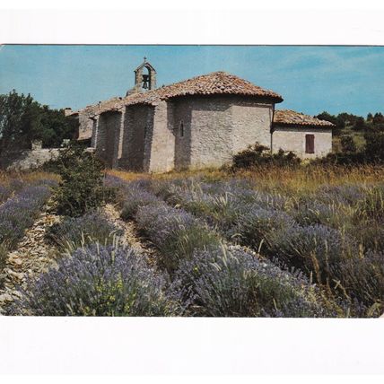Plateau des Abeilles La Chapelle France Postcard unused VGC