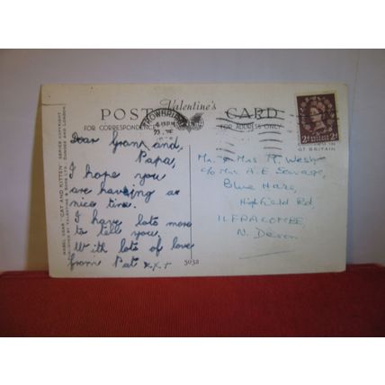 CAT & KITTENS by Mabel Gear. used vintage postcard 1955 pm =