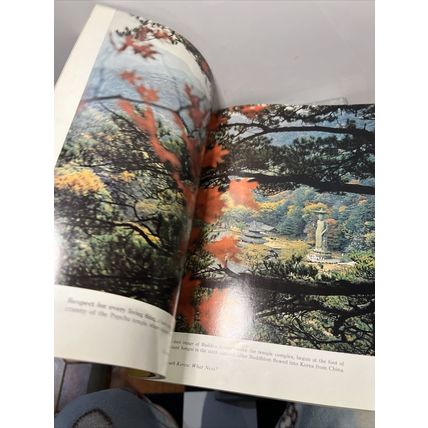 National Geographic Magazine September 1975 Red Sea Reefs - Vintage Collectable