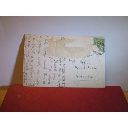 THE ARBORETUM, LINCOLN used antique postcard by Valentine 1911? pm =