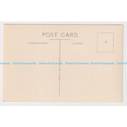 C014639 Jersey. Jersey Cabbages. RP