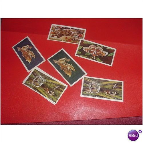 BROOKE BOND TEA (05/12)