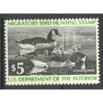 RW43 $5 Family of Canada Geese Very Fine MNH B0223