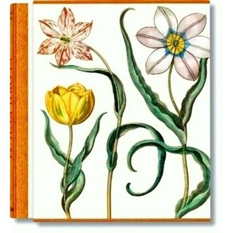 Basilius Besler. The Garden at Eichstatt by Klaus Walter Littger; Werner Dressen