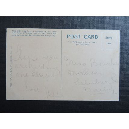 House Martin Birds Vintage Postcard