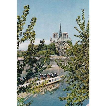 Notre Dame Paris France Postcard unused VGC