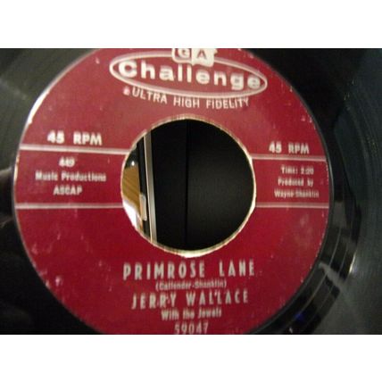 Jerry Wallace-Primrose Lane / By Your Side-45rpm-1959-VG+