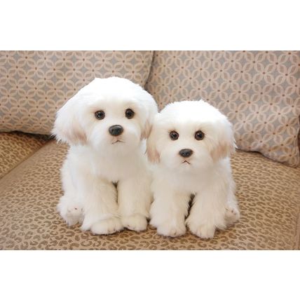 Bichon Frise Puppy Stuffed Animal Dog Plush Toy Cute Simulation Pet Fluffy Baby