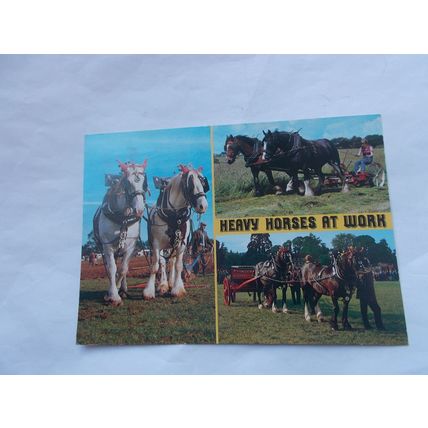 HORSES X 6 (07/02)