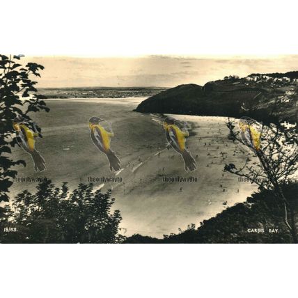 Carbis Bay, Cornwall, 18/53 Overland Views, Postcard