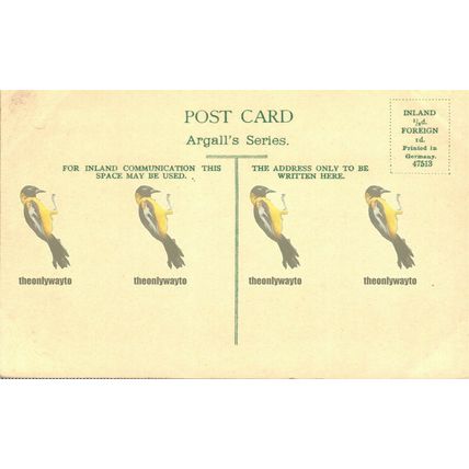 King Harry Ferry, River Fal, Cornwall, 47513 Argall's Series Germany Postcard