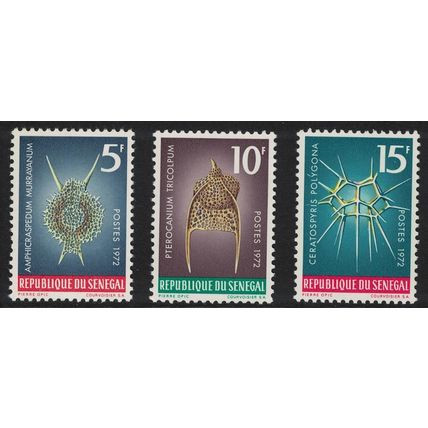 Senegal Protozoans and Marine Life 3v 1972 MNH SG#507-509 MI#505-507