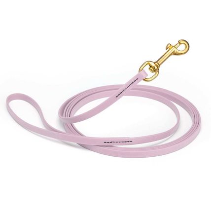 Dog Pet Leash Pastel Purple w/ Brass Hardware W 3/8" - L33'