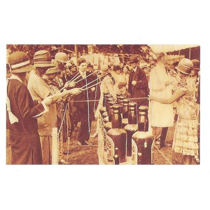 Postcard Fishing for Bottles London Botanic Gardens 1927 Fund Raising Nostalgia