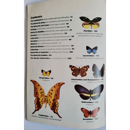 The Illustrated Encyclopedia of the Butterfly World in Colour. Paul Smart