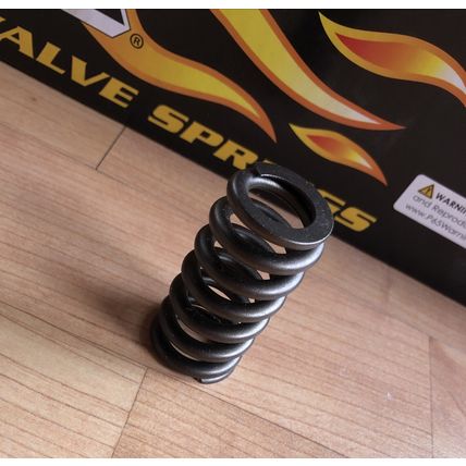 PAC Racing PAC-1233-16 1.025 Valve Springs Ovate Beehive Quantity 16