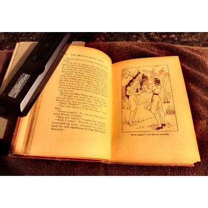 The Meadow Brook Girls In The Hills By Janet Aldridge 1914 Hardcover Great Shape