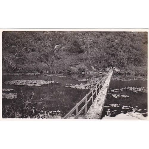 Bosherston Lily Ponds Pembrokeshire Postcard (PEM71630)