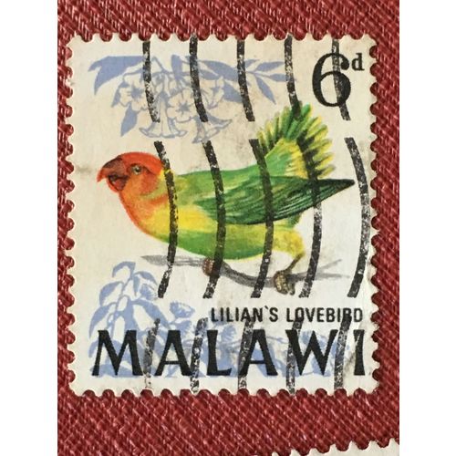Malawi QEII 1968 Birds 6d Nyasa Lovebird Used SG 314 Sc 99 Postage Stamp