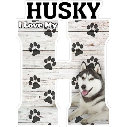 I Love My Husky Fridge Magnet
