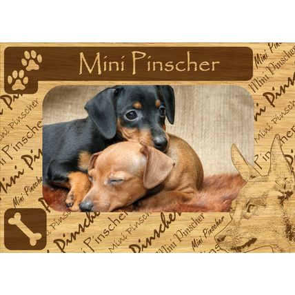 Mini Pinscher w Paws Engraved Wood Picture Frame Magnet